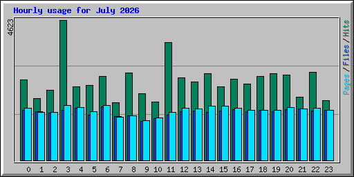 Hourly usage for July 2026